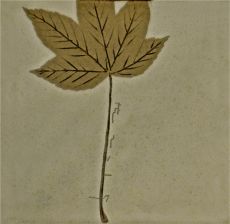 Teller, mint mit Blatt, quadratisch